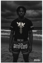 "Pegasus" Unisex Bio - T-Shirt mit Rippkragen - rmnsz.store