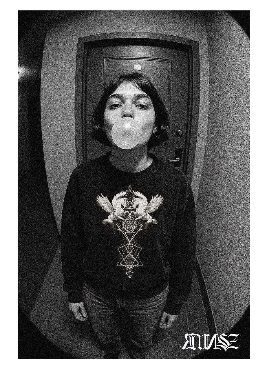 "Pegasus" Unisex - Premium - Pullover - rmnsz.store