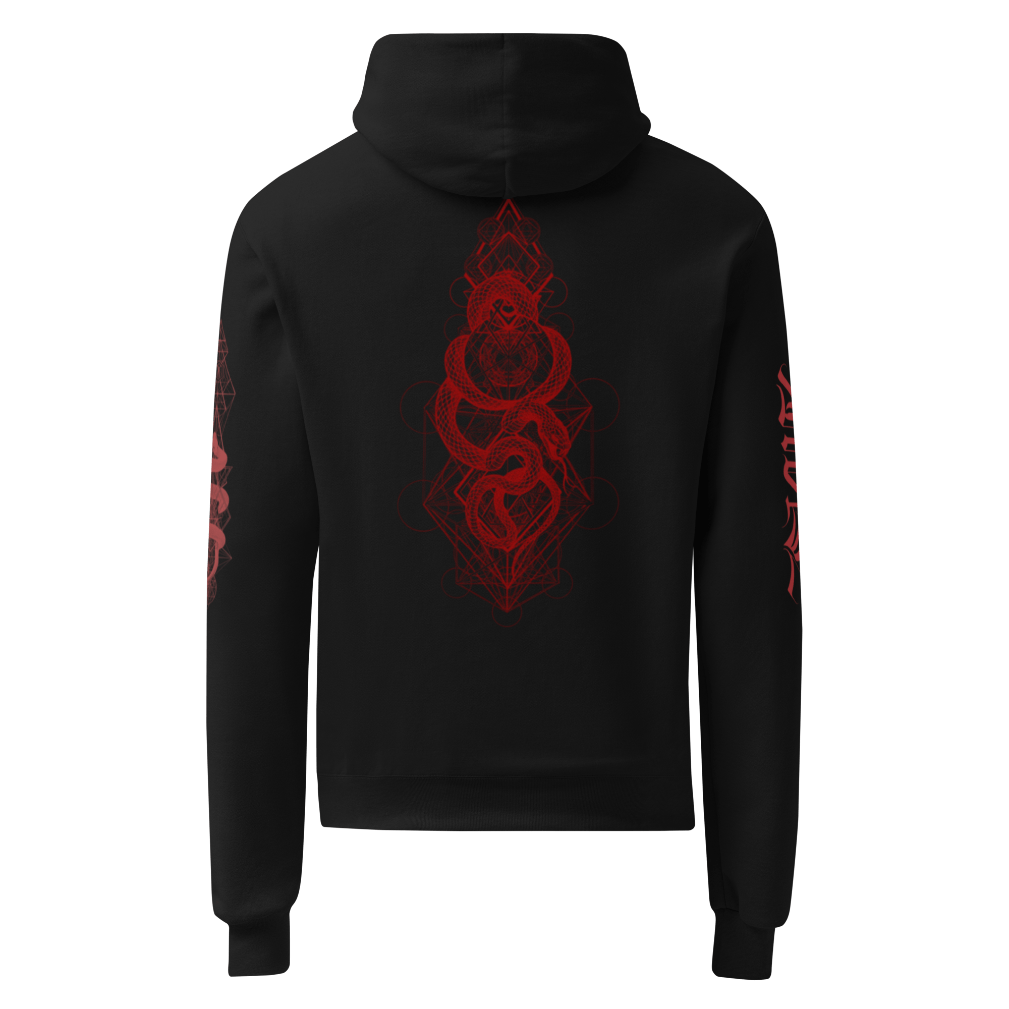 "Sinister" Unisex Champion Hoodie - rmnsz.store