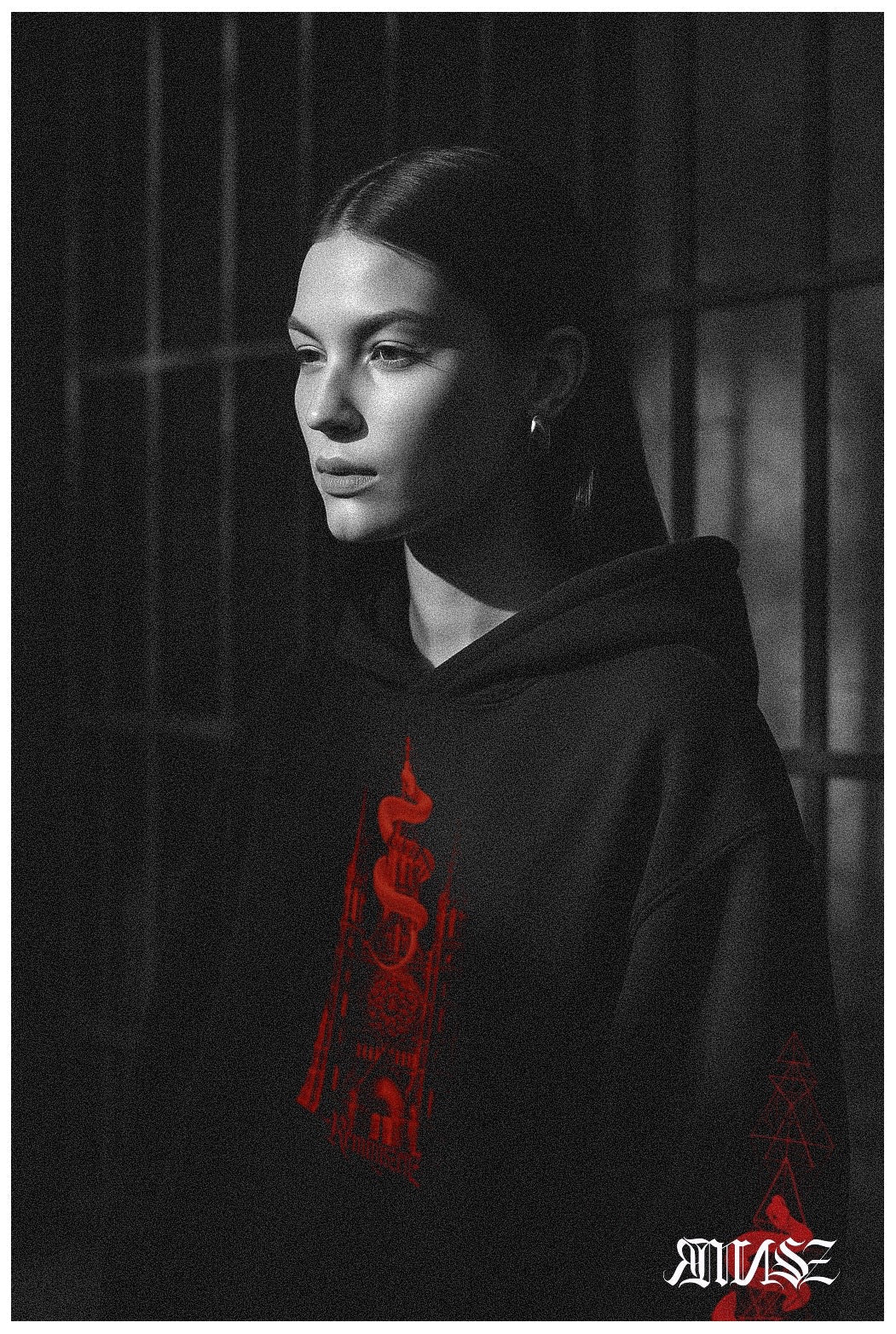 "Sinister" Unisex Champion Hoodie - rmnsz.store
